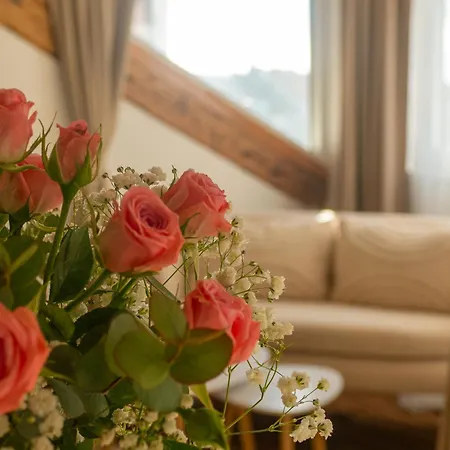 Apartment Sweet And Cozy In The Heart Of Pula